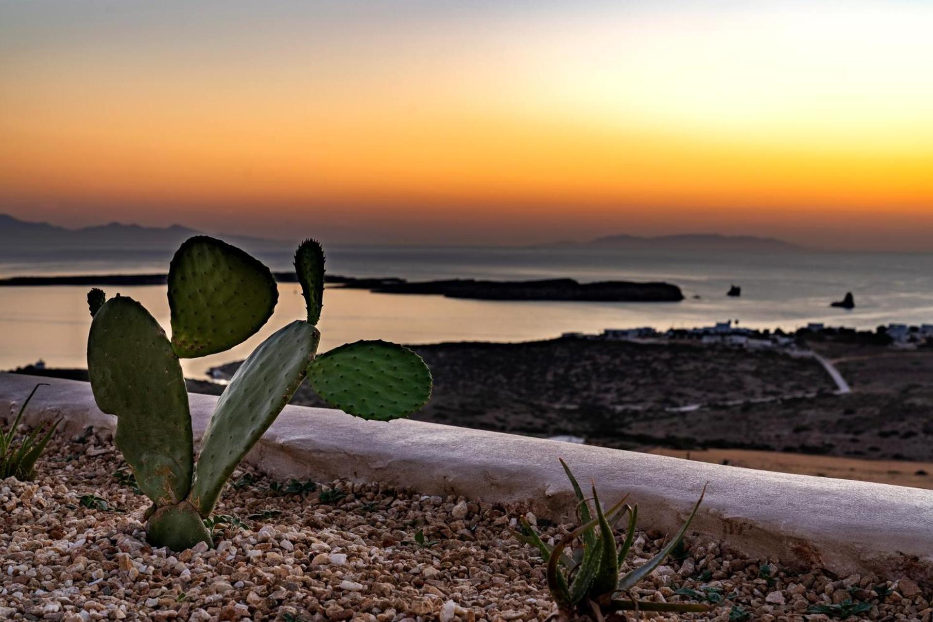 Отель Mythic Paros , Adults Only Айя-Ирини-Парос Номер фото